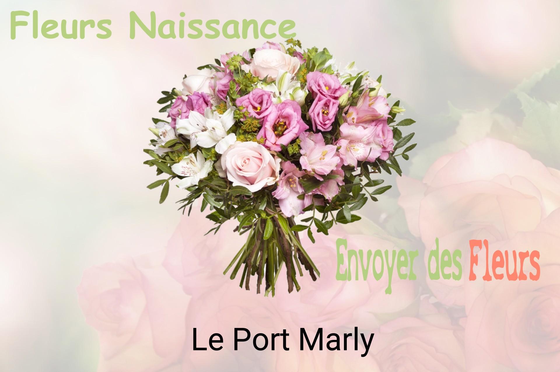 Bouquet de fleurs de naissance livré à Le Port-Marly